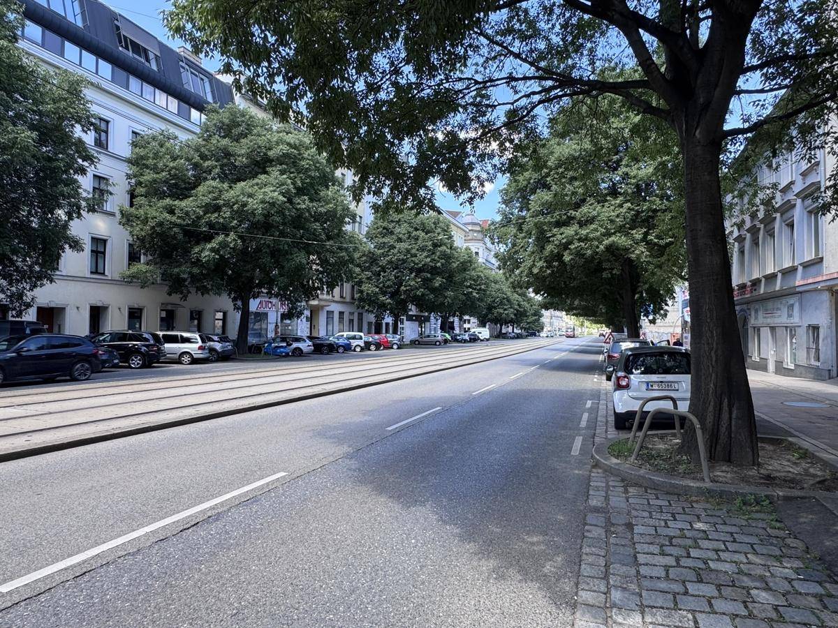 Ruhige Straße mit Bäumen, parkenden Autos und Gebäuden im Hintergrund.