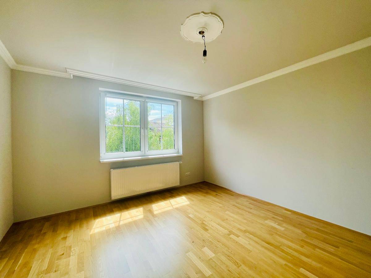 Zimmer3_