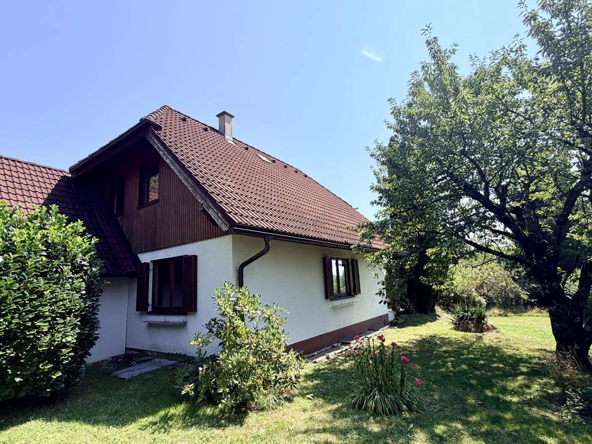 Seitenansicht des Hauses mit großem Garten und altem Baumbestand unter blauem Himmel.