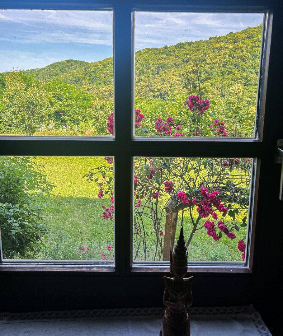 Malerischer Blick aus dem Fenster auf eine grüne Hügellandschaft mit blühenden Rosen.