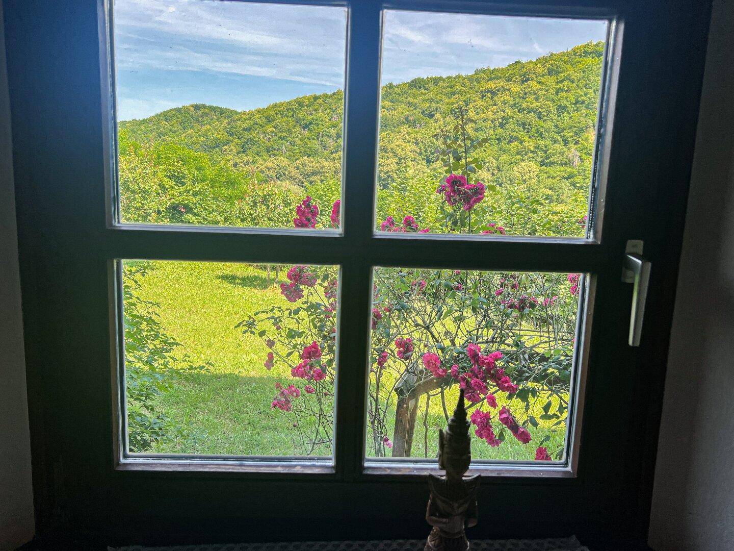 Malerischer Blick aus dem Fenster auf eine grüne Hügellandschaft mit blühenden Rosen.