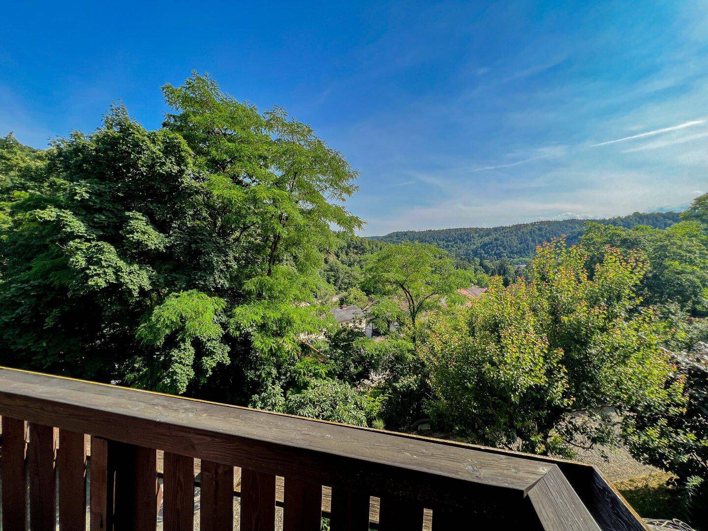 Weitläufiger Blick vom Balkon auf die grüne Hügellandschaft und die Umgebung.
