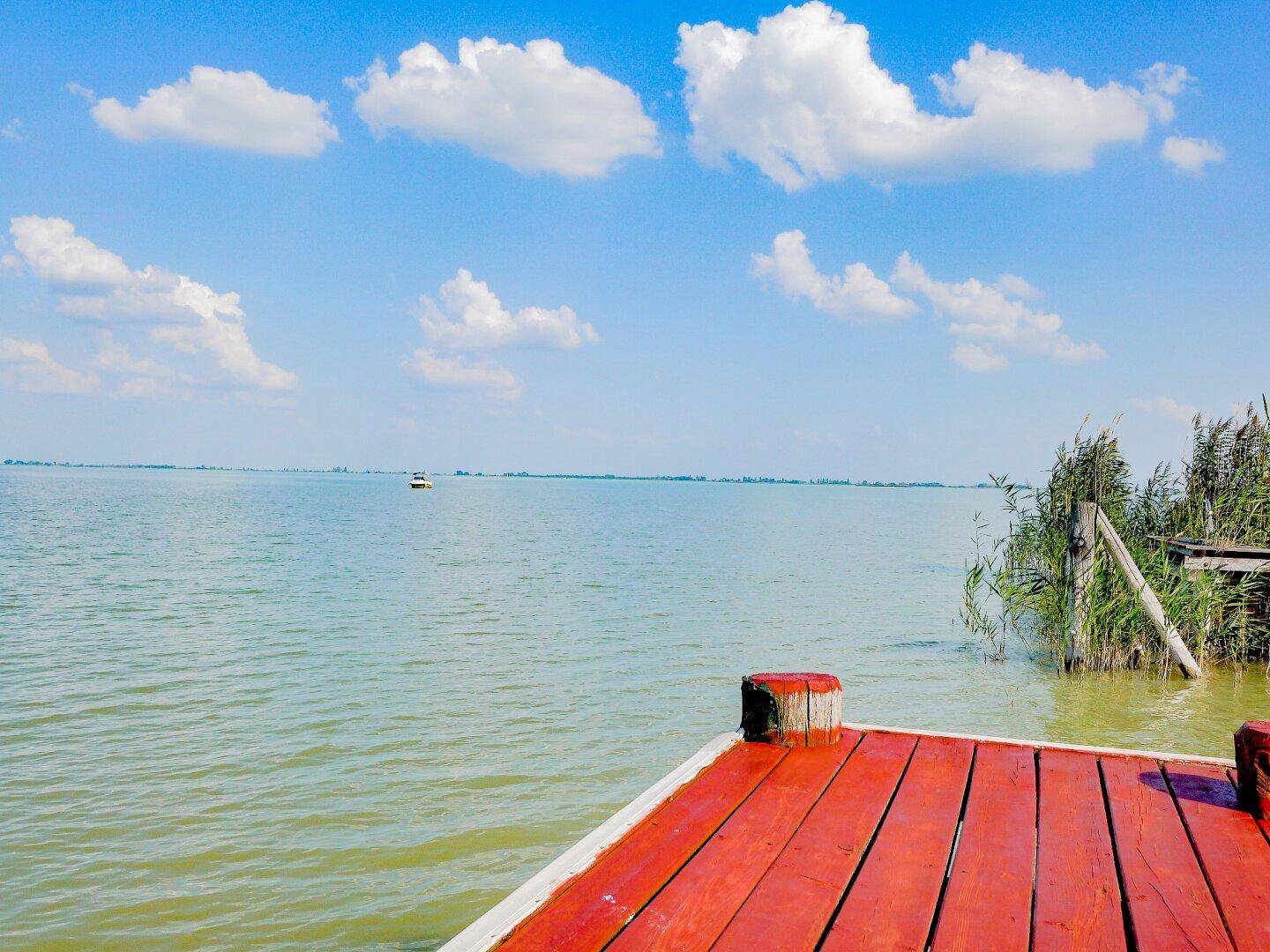 Blick vom Holzsteg auf den weiten See, umgeben von Schilf unter blauem Himmel.