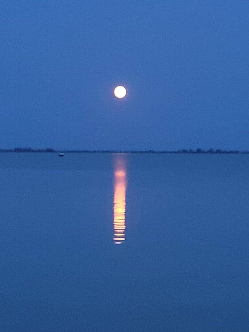 Vollmond am Neusiedlersee