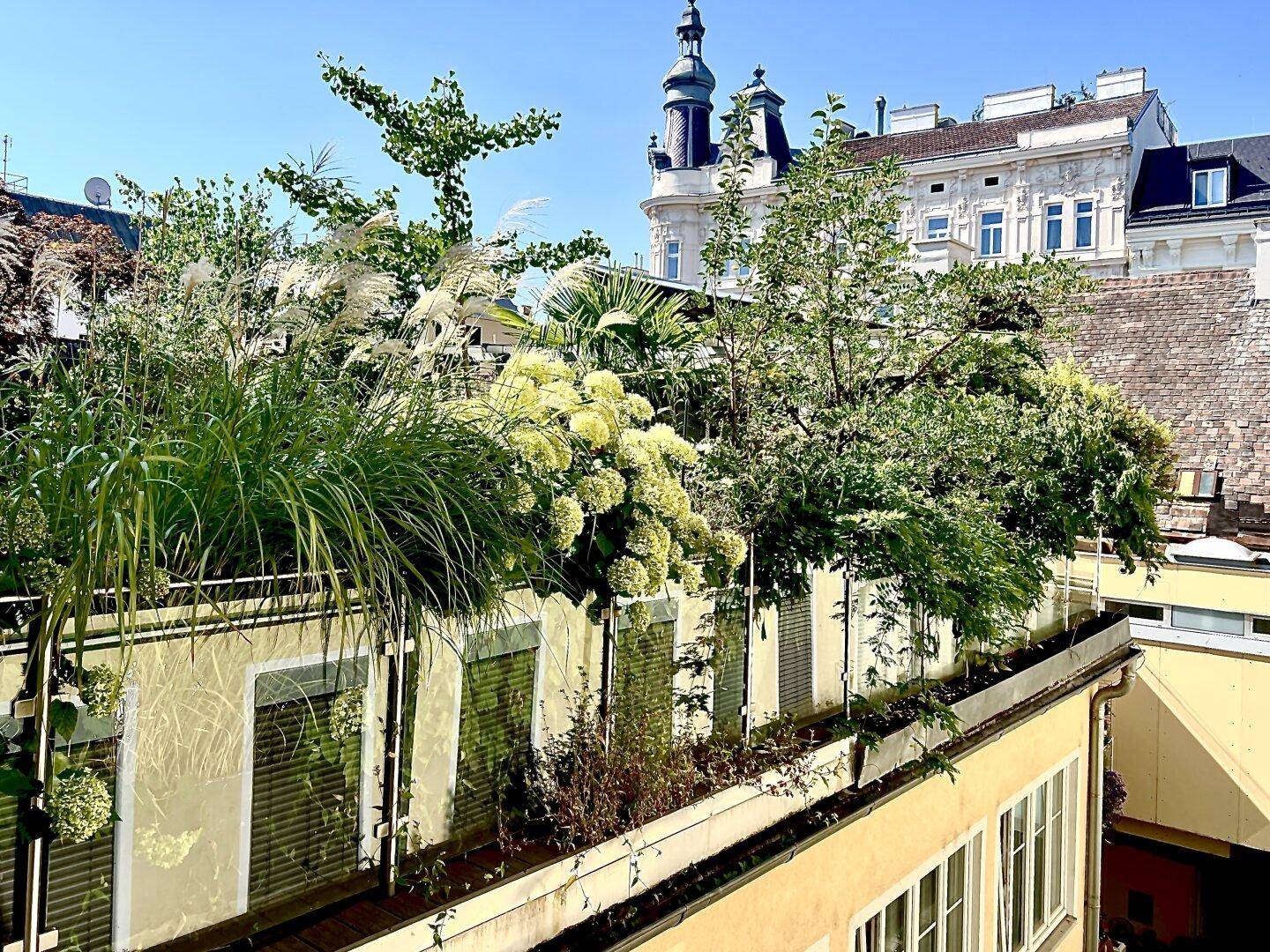 Blick von Wohnung zur Terrasse