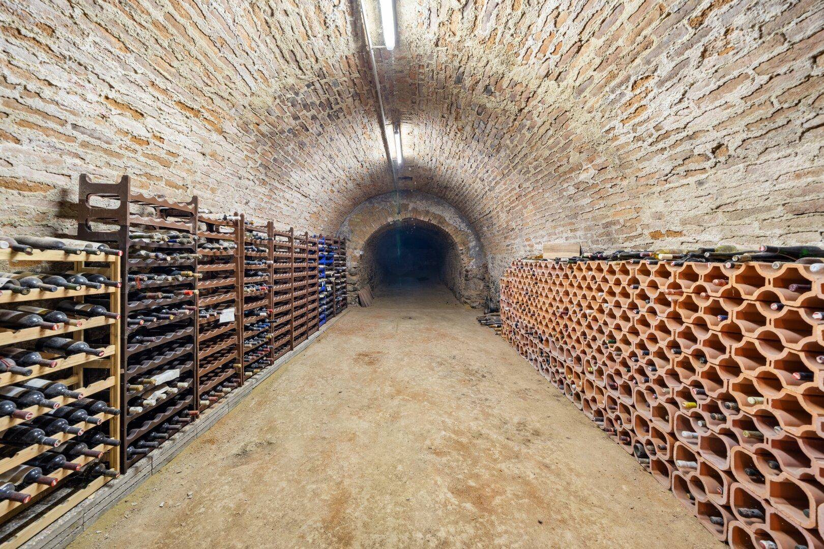 Historischer Weinkeller mit Ziegelgewölbe und zahlreichen Weinregalen.