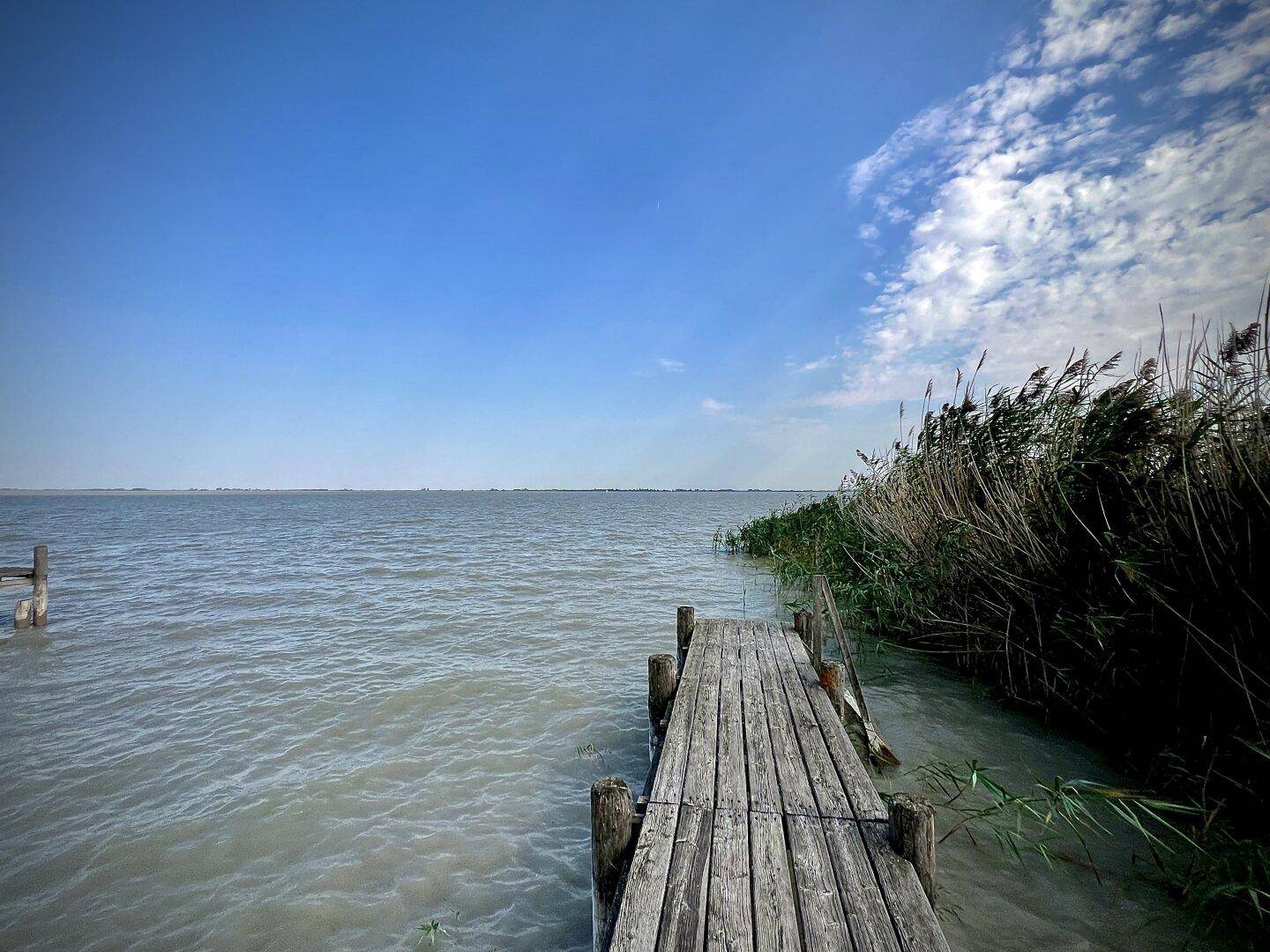 Die Weite des Neusiedlersees