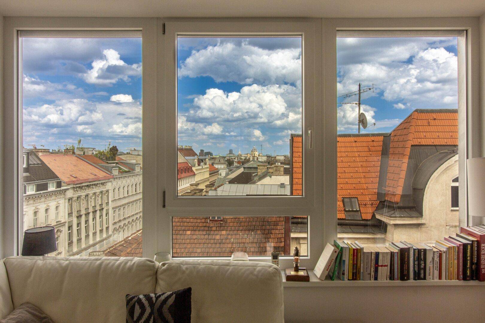 grandioser Blick über die innere Stadt bis über die Donau