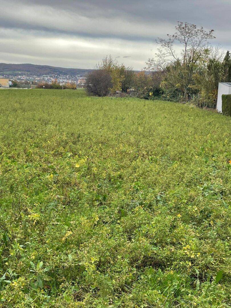 Weitläufiges grünes Feld mit Blick auf eine ländliche Landschaft und entfernte Hügel.