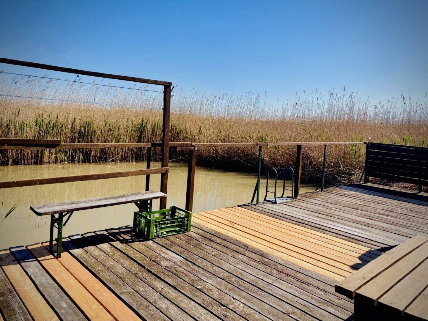 Große Holzterrasse mit Sitzbänken und direktem Zugang zum Wasser und Schilf.