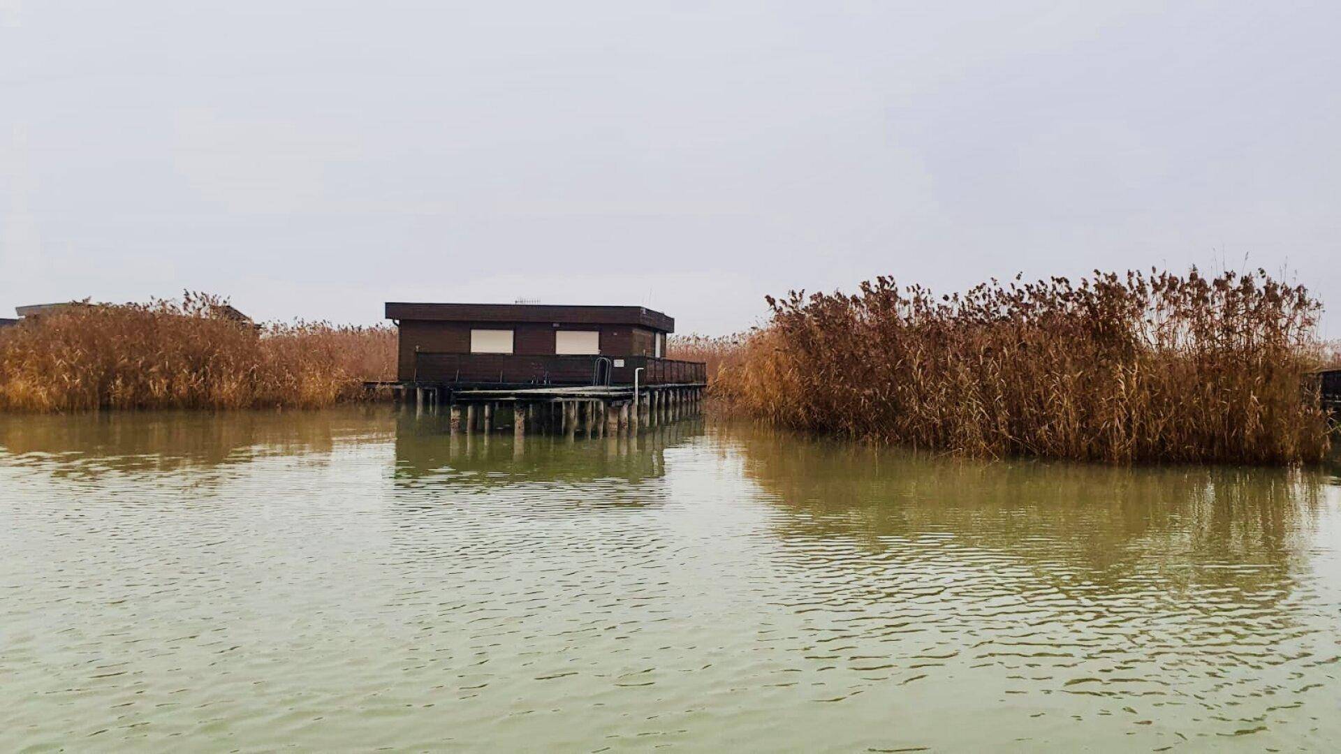 Das Holzhaus auf Stelzen steht inmitten eines weiten Gewässers, umgeben von dichtem Schilf.