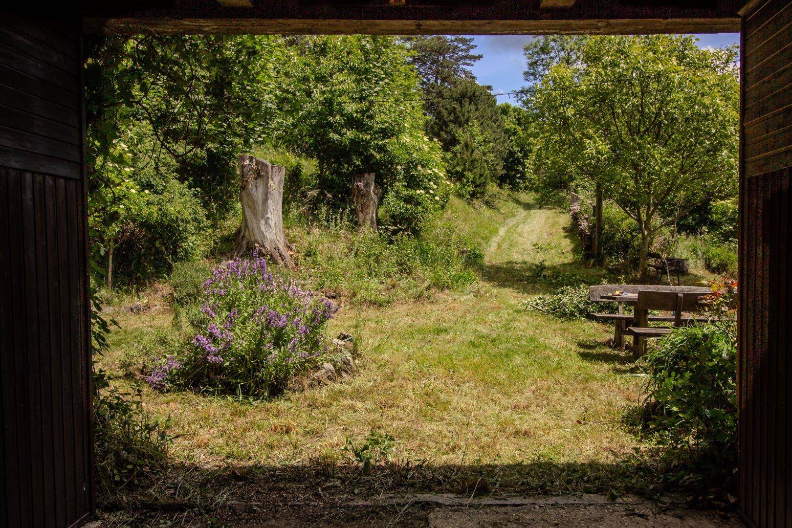 Naturbelassener Gartenbereich mit Gras, Bäumen und einem rustikalen Picknicktisch im Grünen.