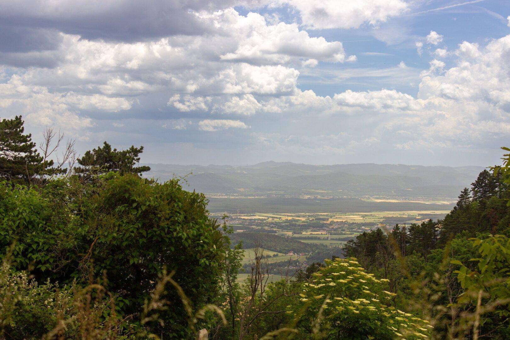 Panoramablick über eine weite, grüne Landschaft mit Feldern und Wäldern unter bewölktem Himmel.
