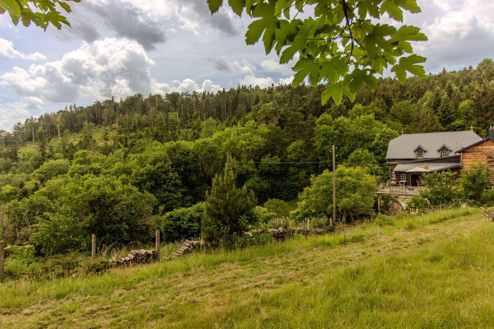 Malerische Landschaft mit grünen Hügeln, Wäldern und einem Haus in der Ferne.
