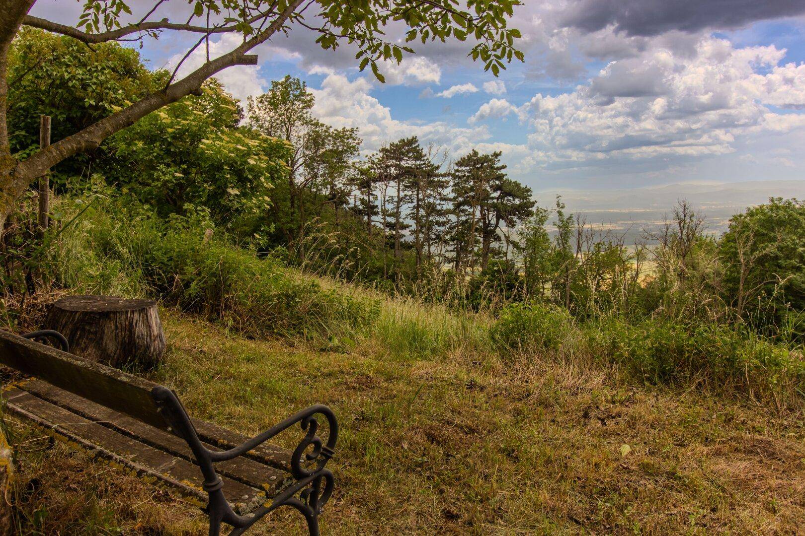 Gartenbereich mit einer Holzbank und weitem Blick über die grüne Hügellandschaft.
