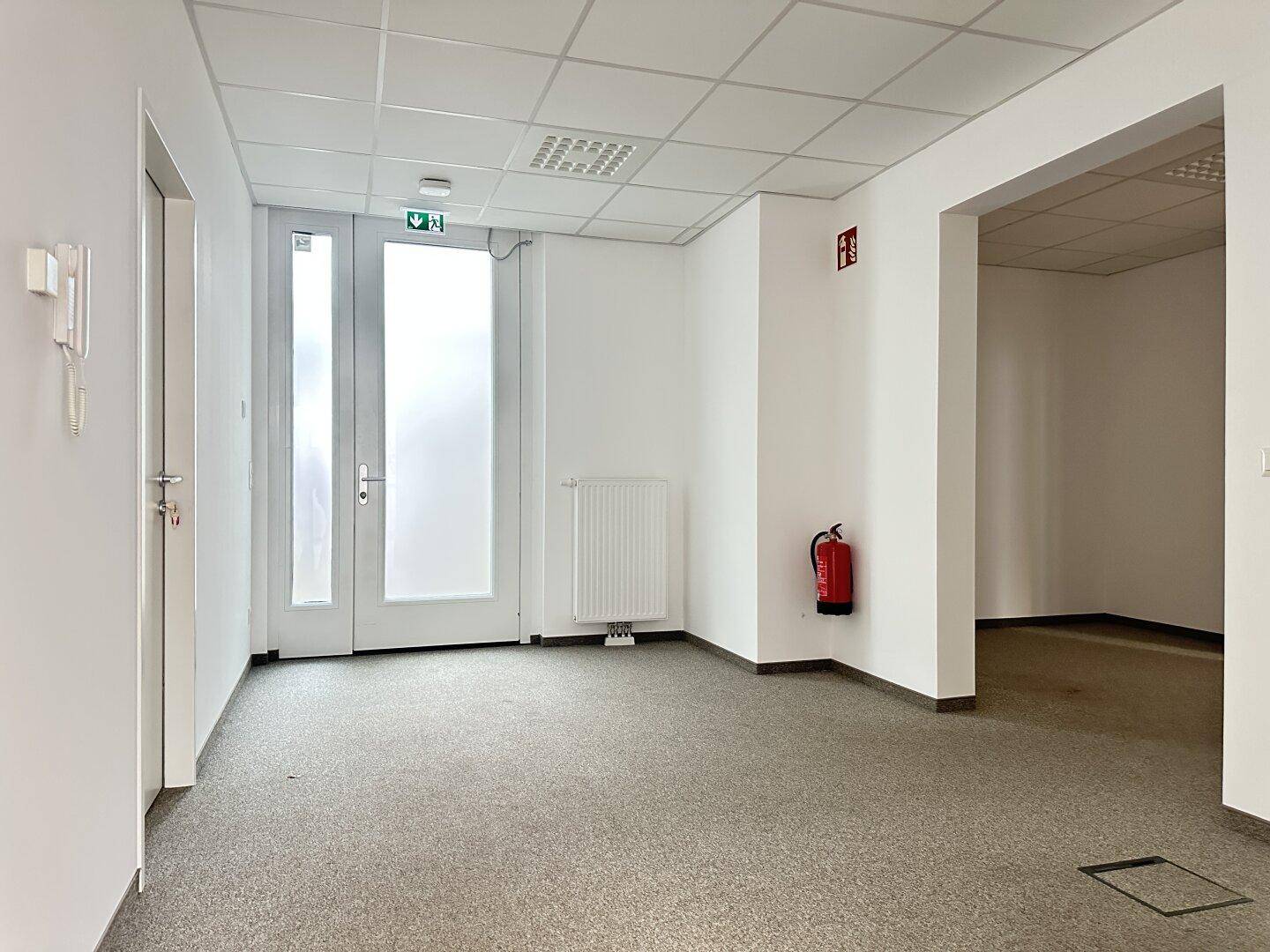 Heller Eingangsbereich mit Milchglastür, Heizkörper und Teppichboden, bietet einen freundlichen Empfang.