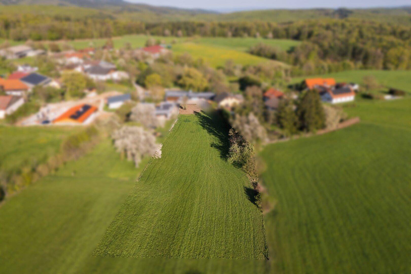750 m² Baugrund: Ruhelage &amp; Platz für Ihre Wünsche! - Ansicht 5