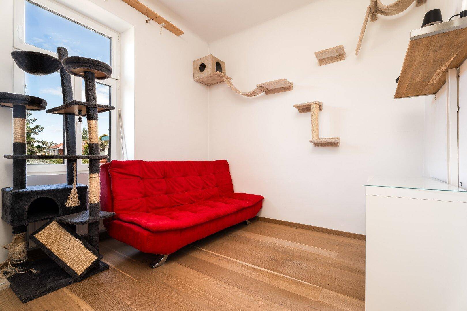 Heller Raum mit Holzboden, rotem Sofa und speziellen Kletterelementen für Katzen.