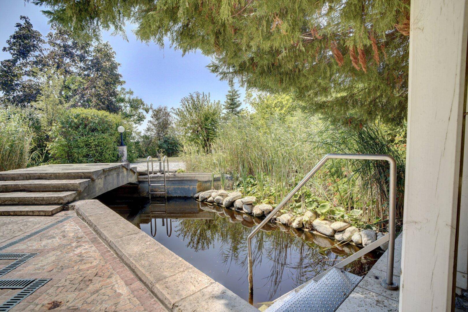 Natürlicher Teich oder Poolbereich im Garten mit Steinstufen und üppigen Pflanzen.