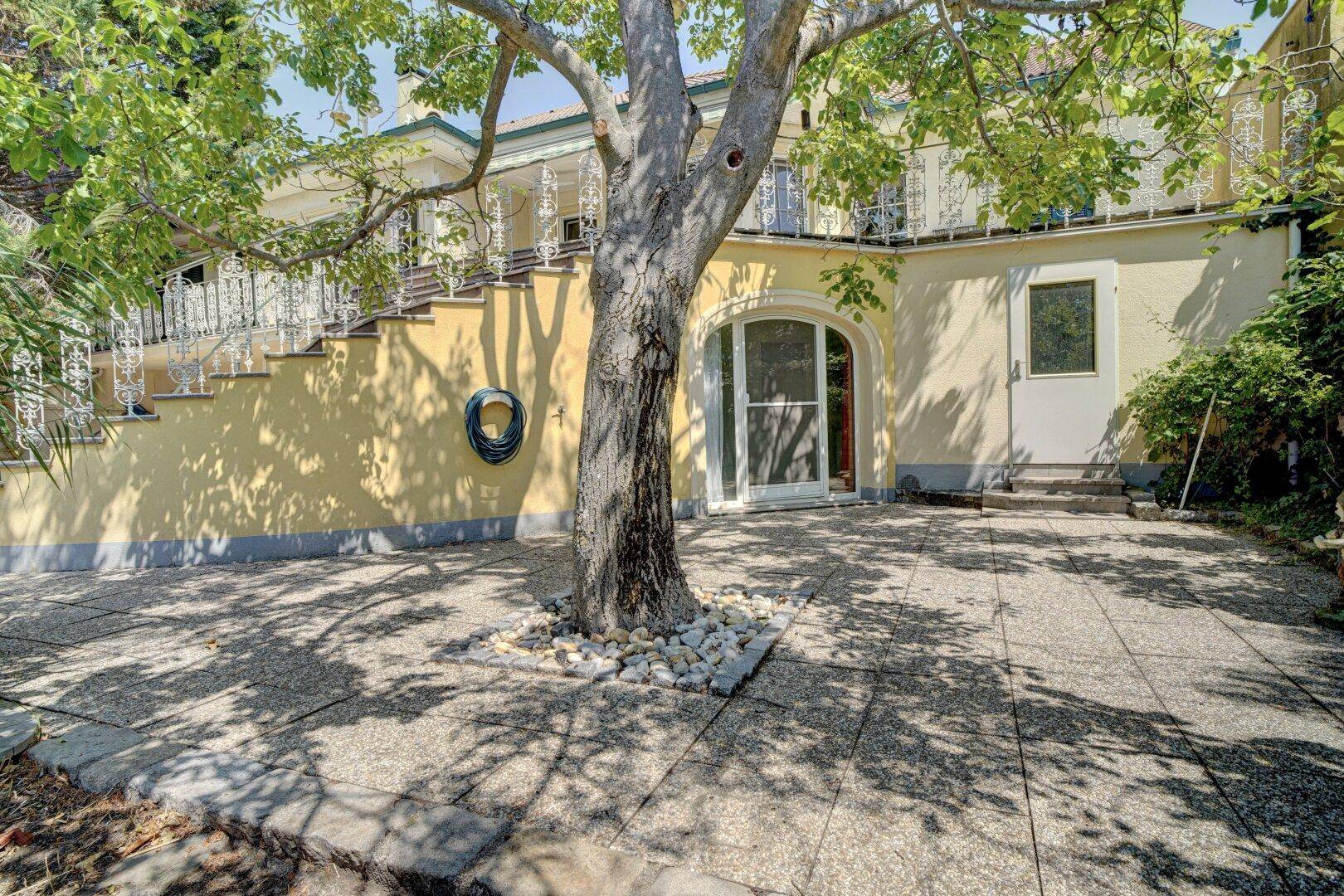 Gepflasterte Terrasse mit einem großen Baum in der Mitte und Zugang zum Haus.