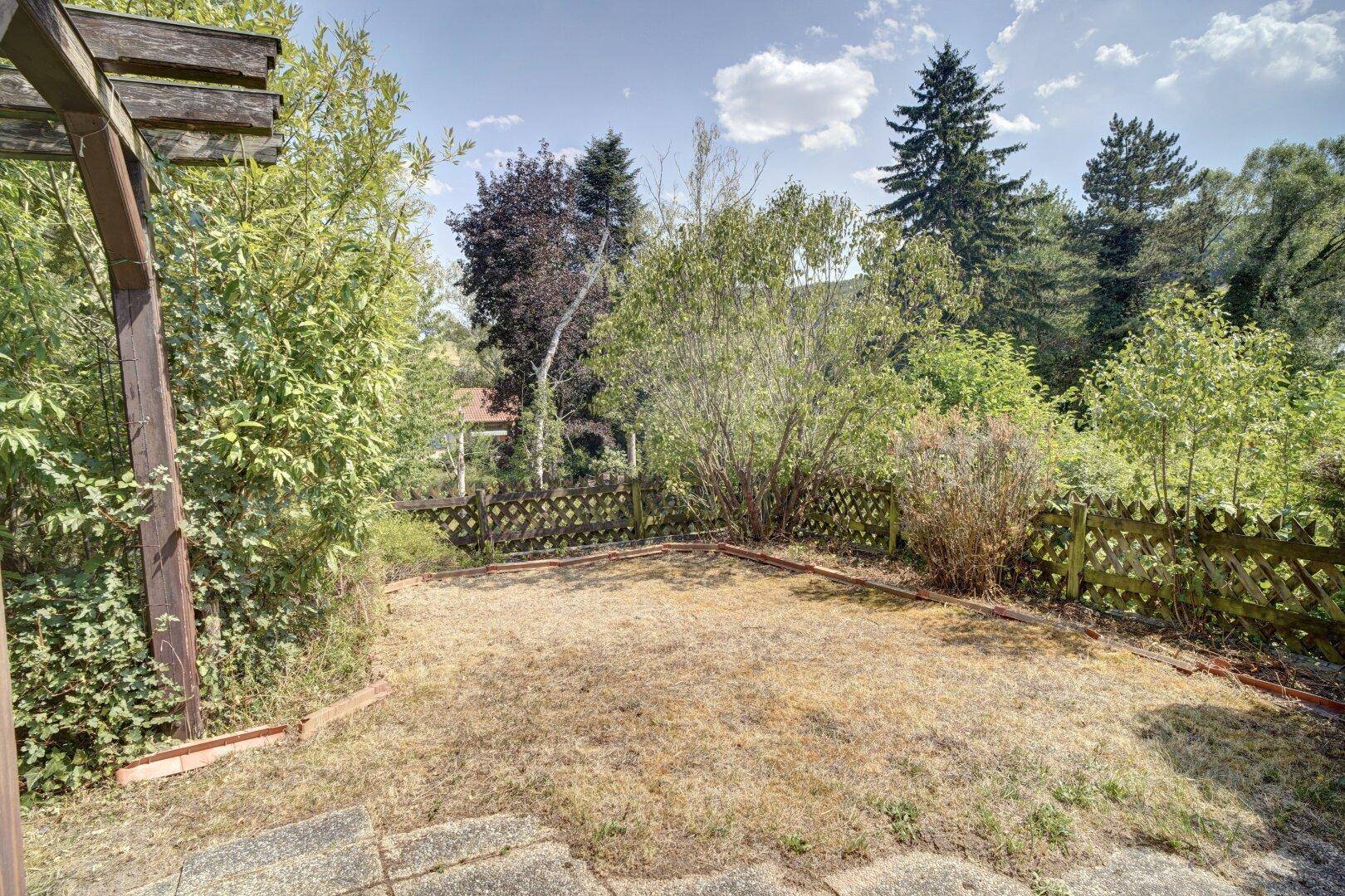 Offener Gartenbereich mit Rasenfläche, umgeben von Bäumen und einem Holzzaun.
