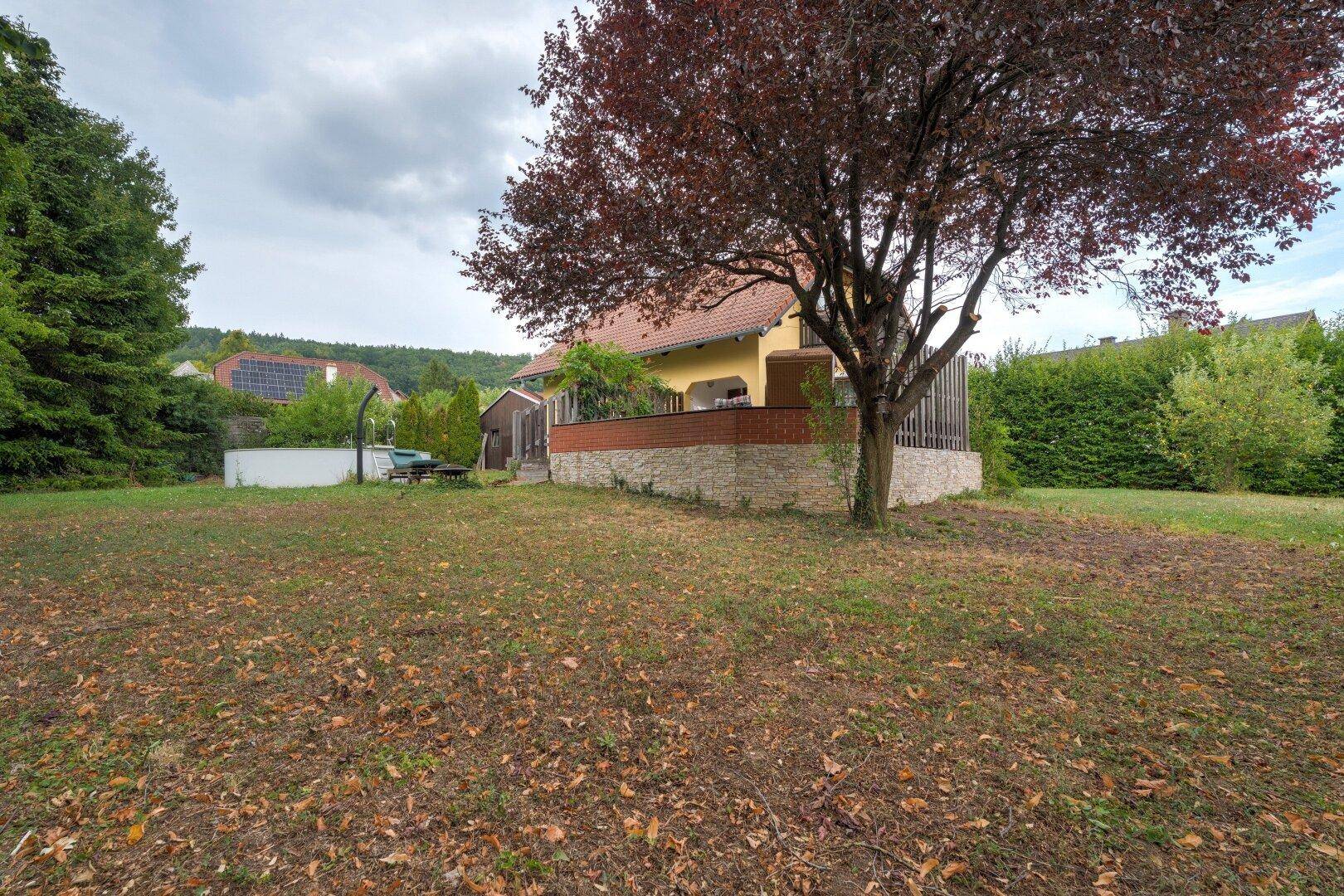 Großer Gartenbereich mit Rasenfläche, altem Baum und einem kleinen Pool hinter dem Haus.