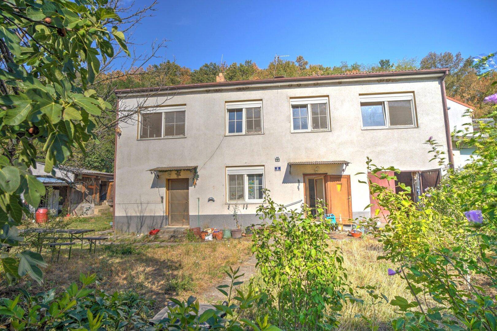 Blick auf die Hausfassade, teilweise verdeckt durch üppiges Grün des naturbelassenen Gartens.