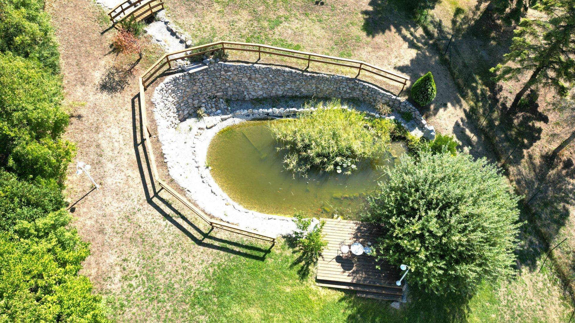 Detailreiche Luftaufnahme eines naturnahen Teiches mit Holzsteg und umgebender Vegetation.