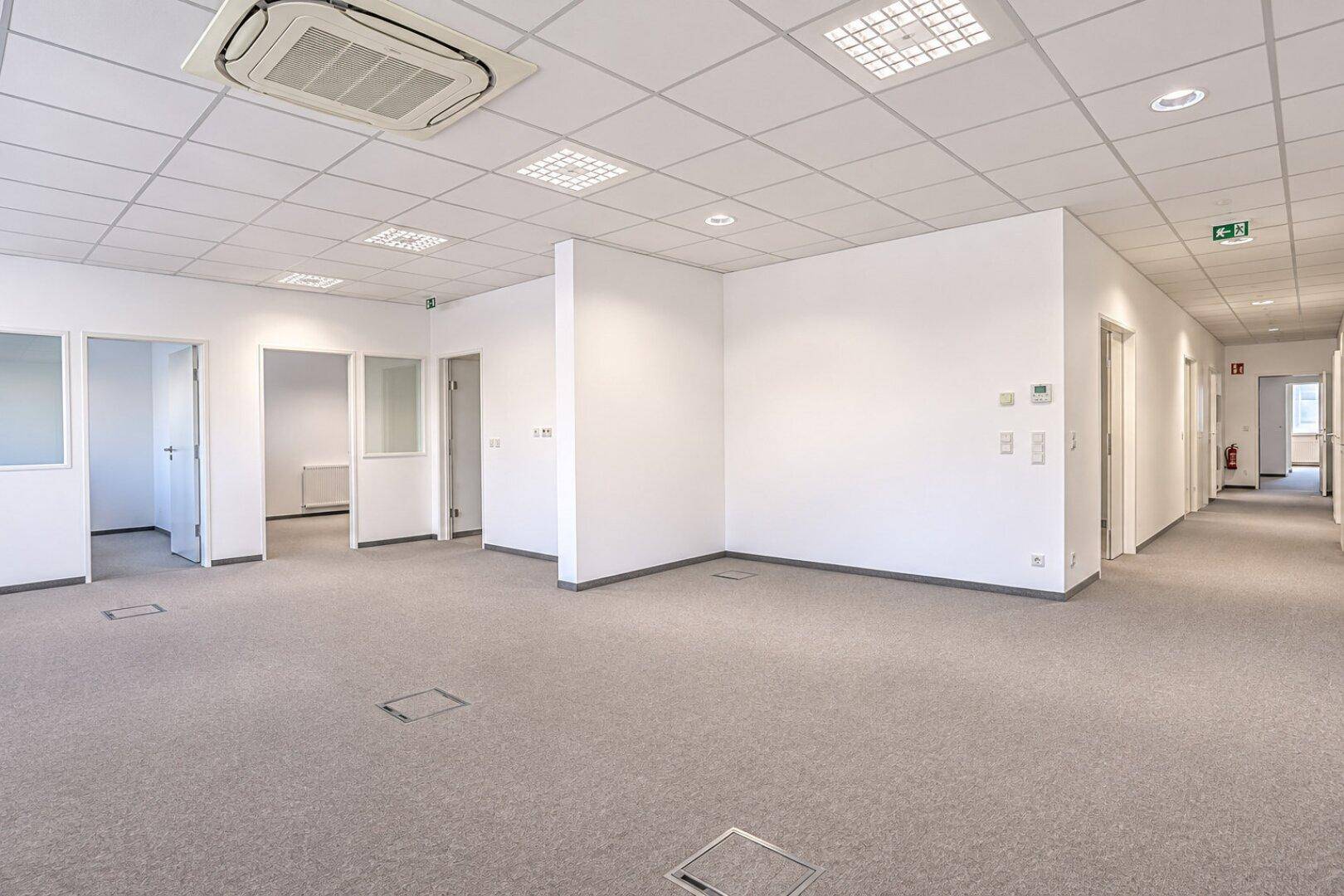 Heller Büroraum mit Teppichboden, modularen Wänden und Zugang zu einem Flur.