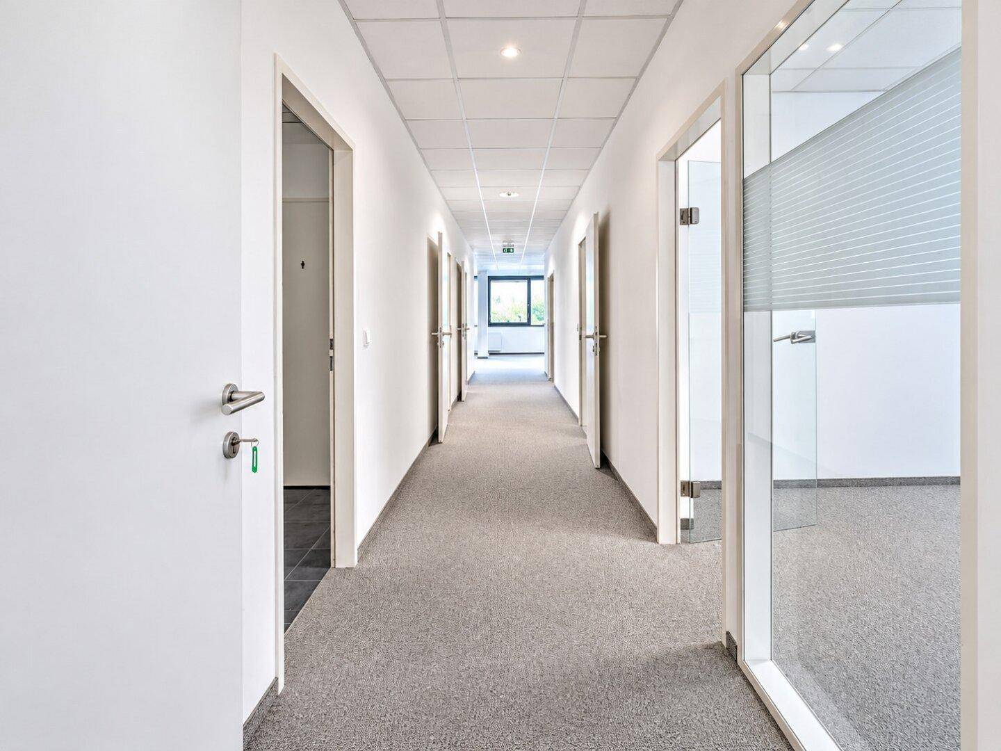 Langer Bürogang mit Teppichboden, vielen Türen zu Büros und natürlichem Lichteinfall am Ende.