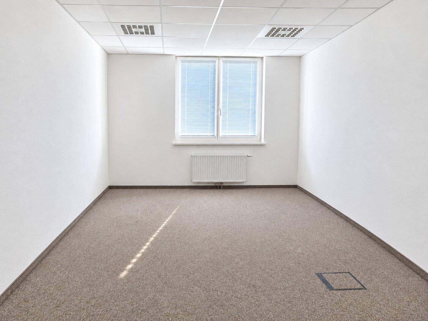 Leeres Büro mit Teppichboden, Fenster mit Jalousien und natürlichem Lichteinfall.