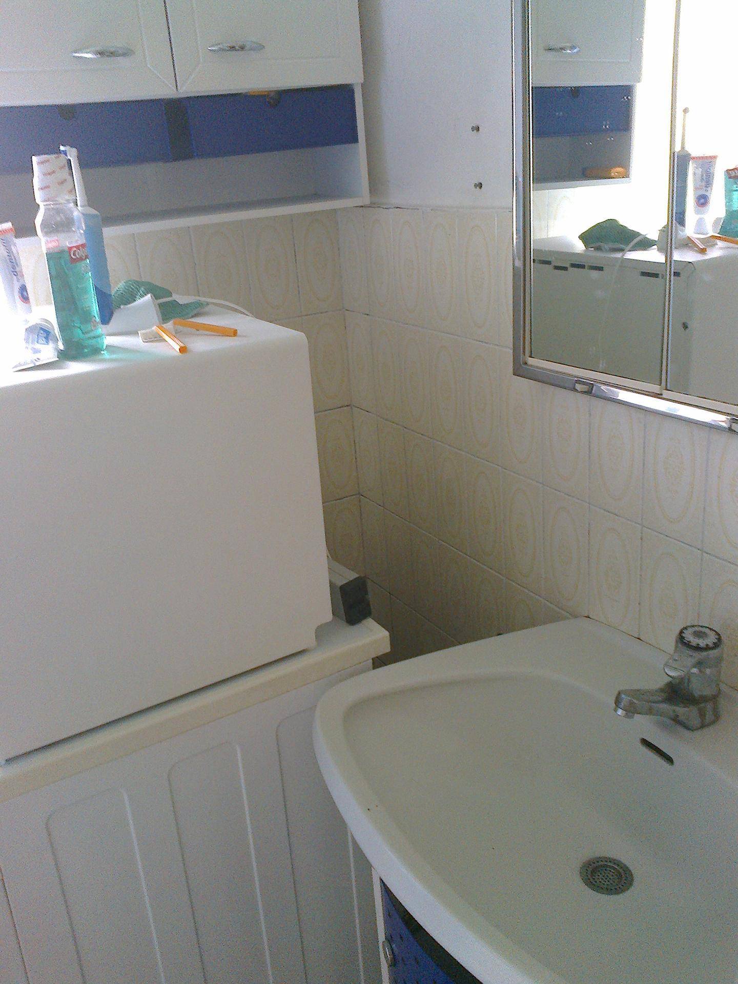 Badezimmer mit Waschbecken, Spiegelschrank und einer Waschmaschine unter einem Regal.