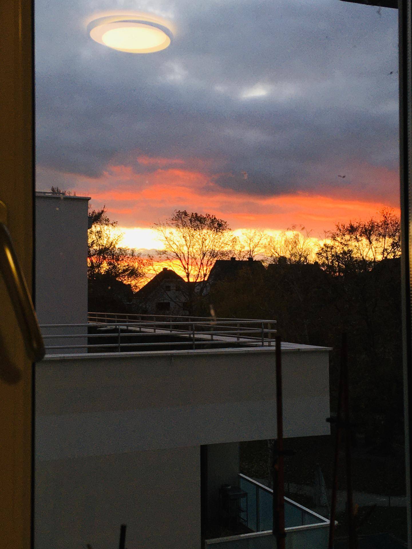 Malerischer Sonnenuntergang über den Dächern und Bäumen, gesehen durch ein Fenster.