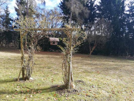Großer Gartenbereich mit Rasenfläche, Bäumen und einem Vogelhaus.