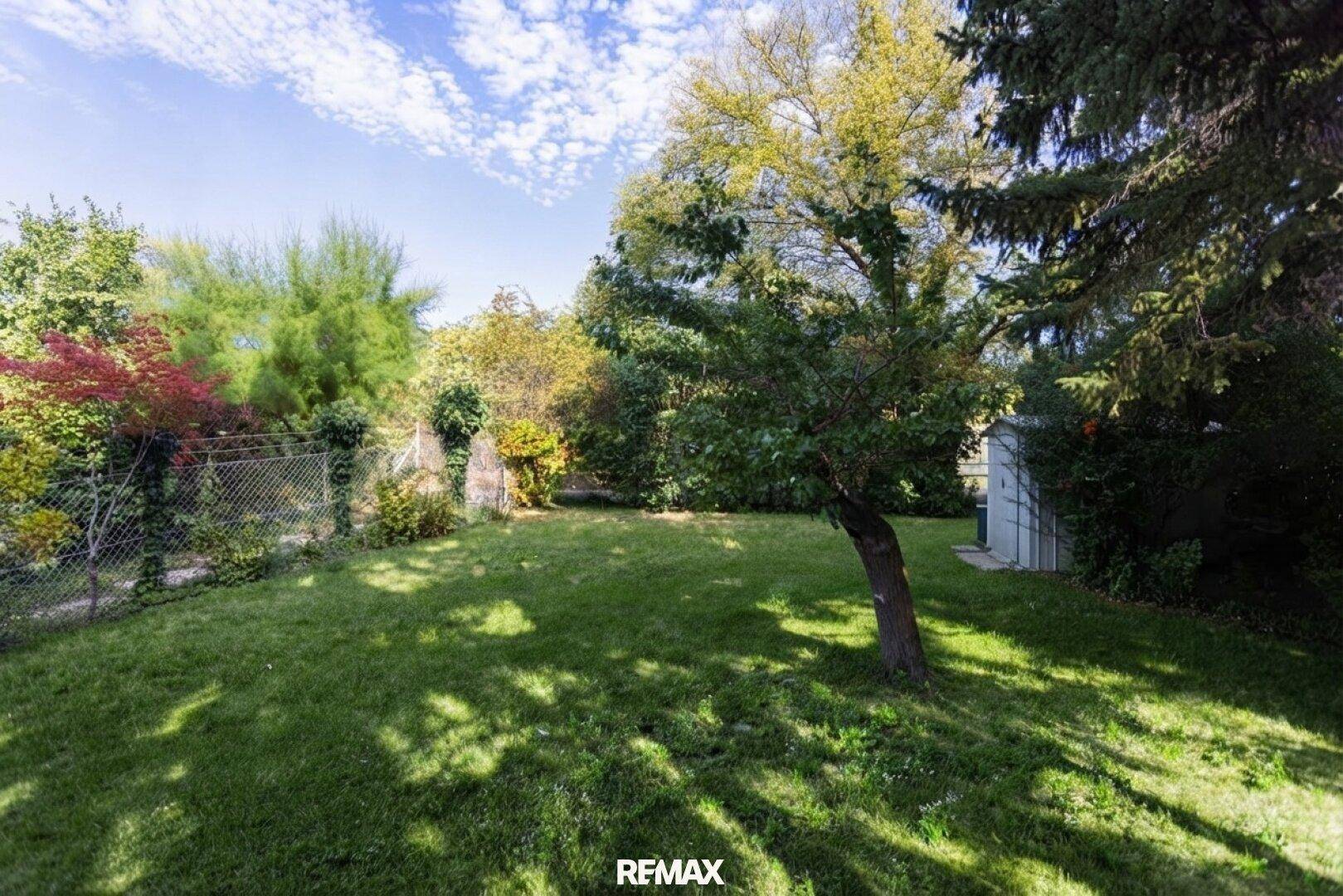 Sonniger Gartenbereich mit Rasen, Bäumen und Sträuchern, perfekt für Outdoor-Aktivitäten.