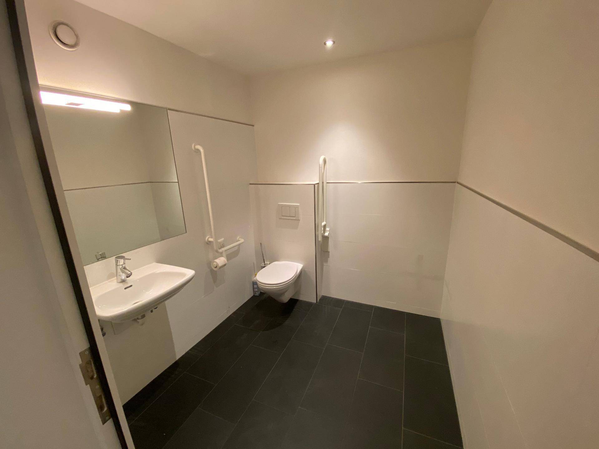 Geräumiger Toilettenraum mit Waschbecken, wandhängendem WC und Haltegriffen für Barrierefreiheit.