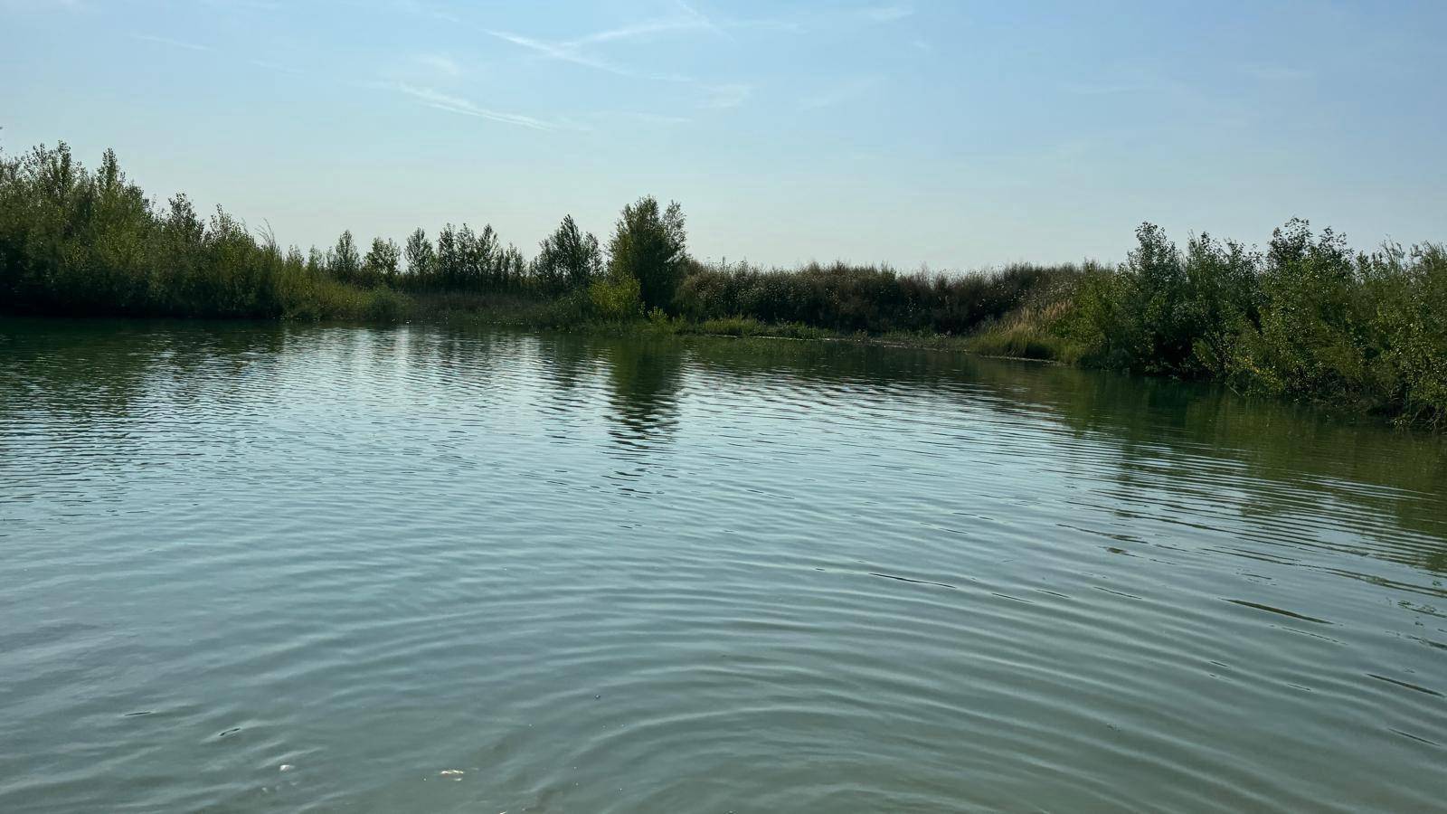 Ruhige Wasseroberfläche eines Sees mit leicht bewachsenem Ufer und klarem Himmel.