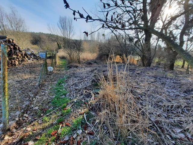 Schmaler Pfad durch trockenes Gras mit einem Holzstapel im Hintergrund an einem sonnigen Tag.