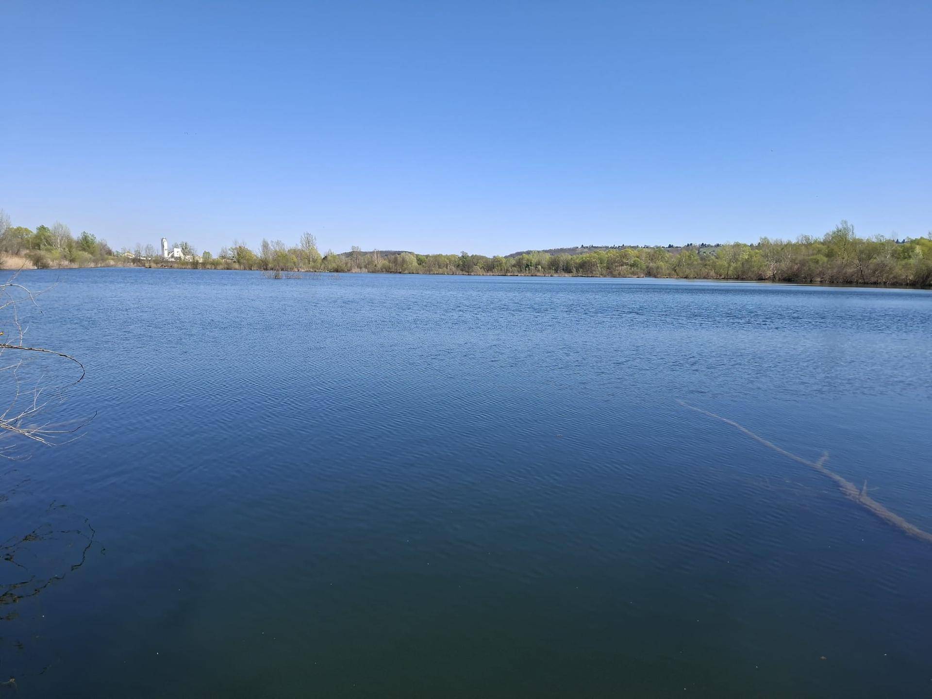 Weitläufiger See mit ruhiger Wasseroberfläche und bewaldetem Uferbereich.
