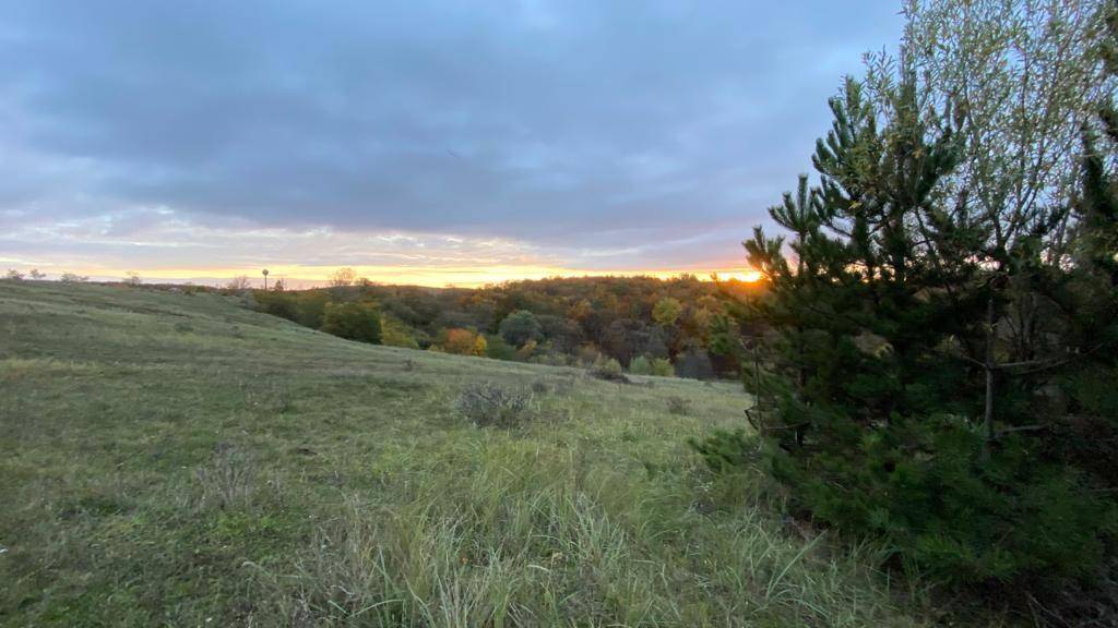 Weite Wiesenlandschaft mit Wald im Hintergrund und einem Sonnenuntergang am Horizont.
