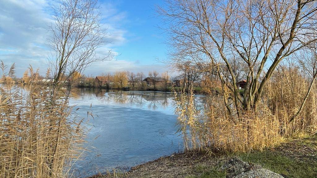Ruhiger See mit Uferbewuchs und Bäumen unter einem klaren blauen Himmel.