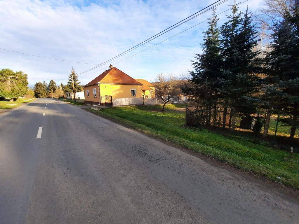 Ländliche Straße mit einem gelben Haus und hohen Nadelbäumen an einem sonnigen Tag.