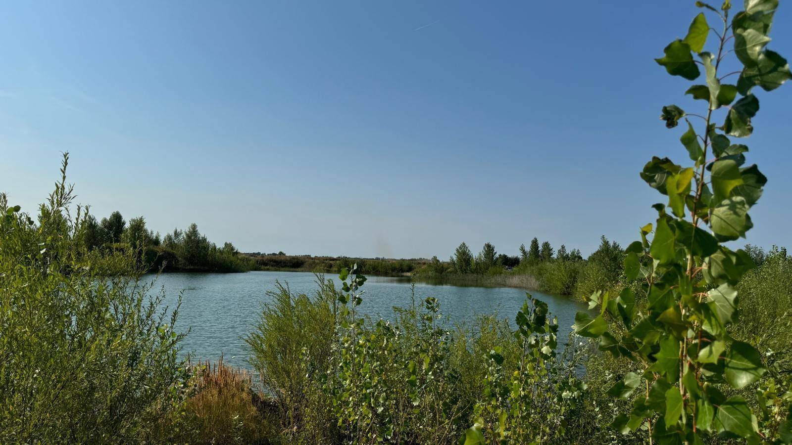 Weitläufiger Blick über einen ruhigen See mit grünen Ufern unter strahlend blauem Himmel.