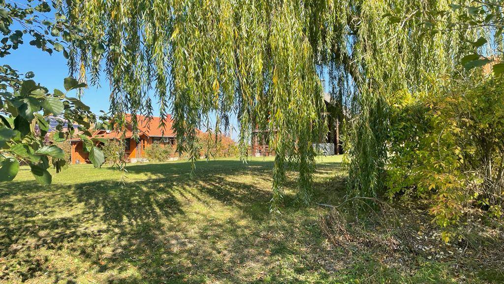 Gartenansicht mit einer großen Trauerweide im Vordergrund und Häusern im Hintergrund.