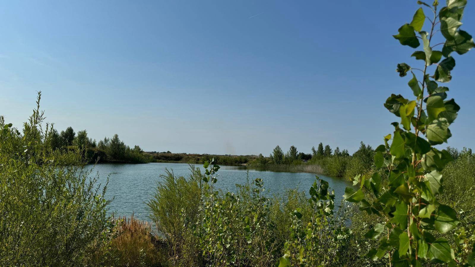 Weitläufiger Blick über einen ruhigen See mit grünen Ufern unter strahlend blauem Himmel.