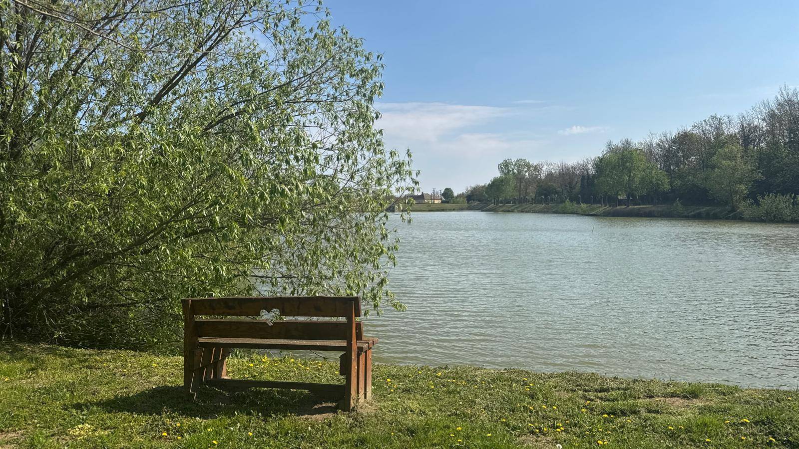 Holzbank am Ufer eines ruhigen Sees, umgeben von üppigem Grün und Bäumen.