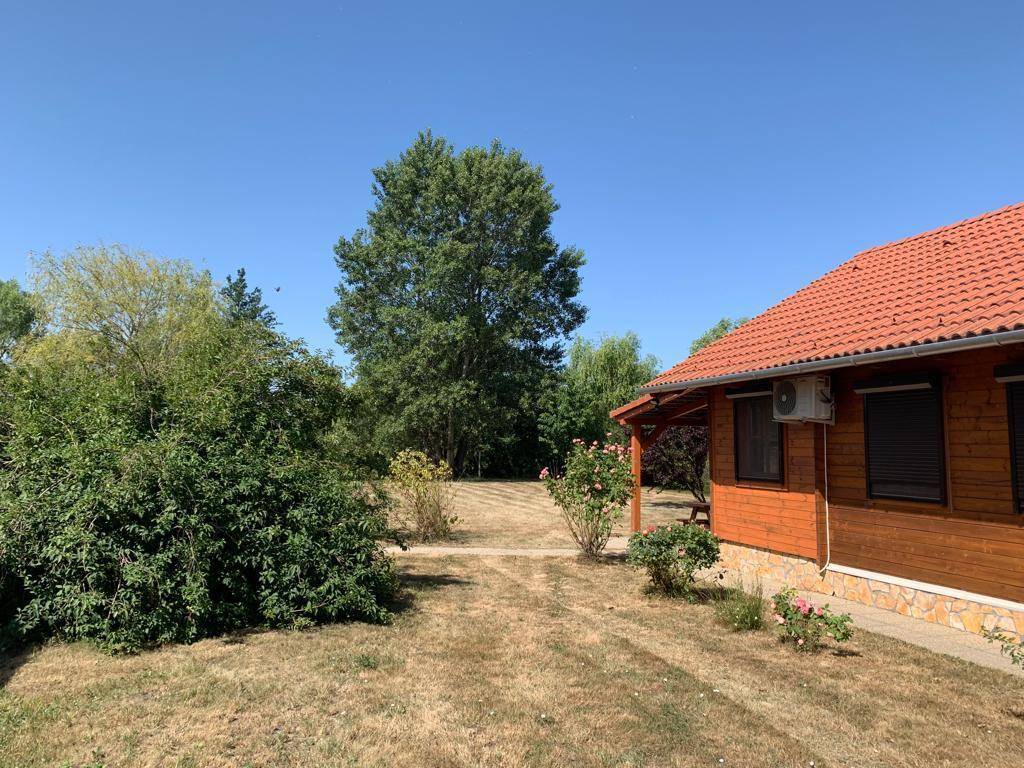 Gartenbereich neben dem Holzhaus mit Bäumen, Sträuchern und Rasenfläche unter blauem Himmel.