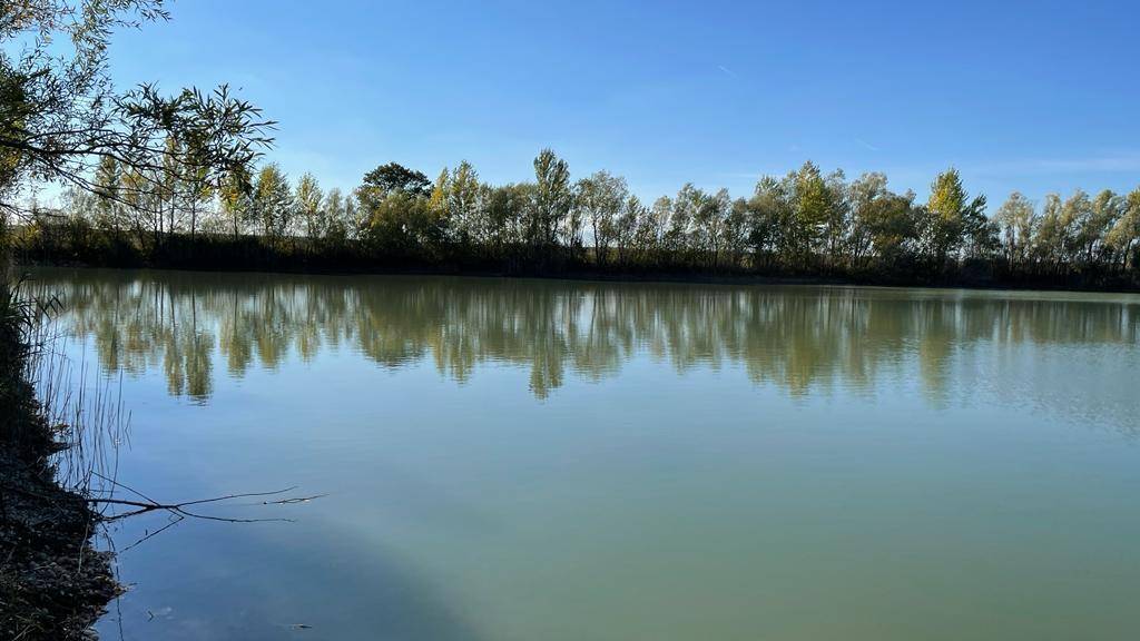 Klares Wasser eines Sees spiegelt die umliegenden Bäume und den blauen Himmel wider, eine friedliche Ansicht.