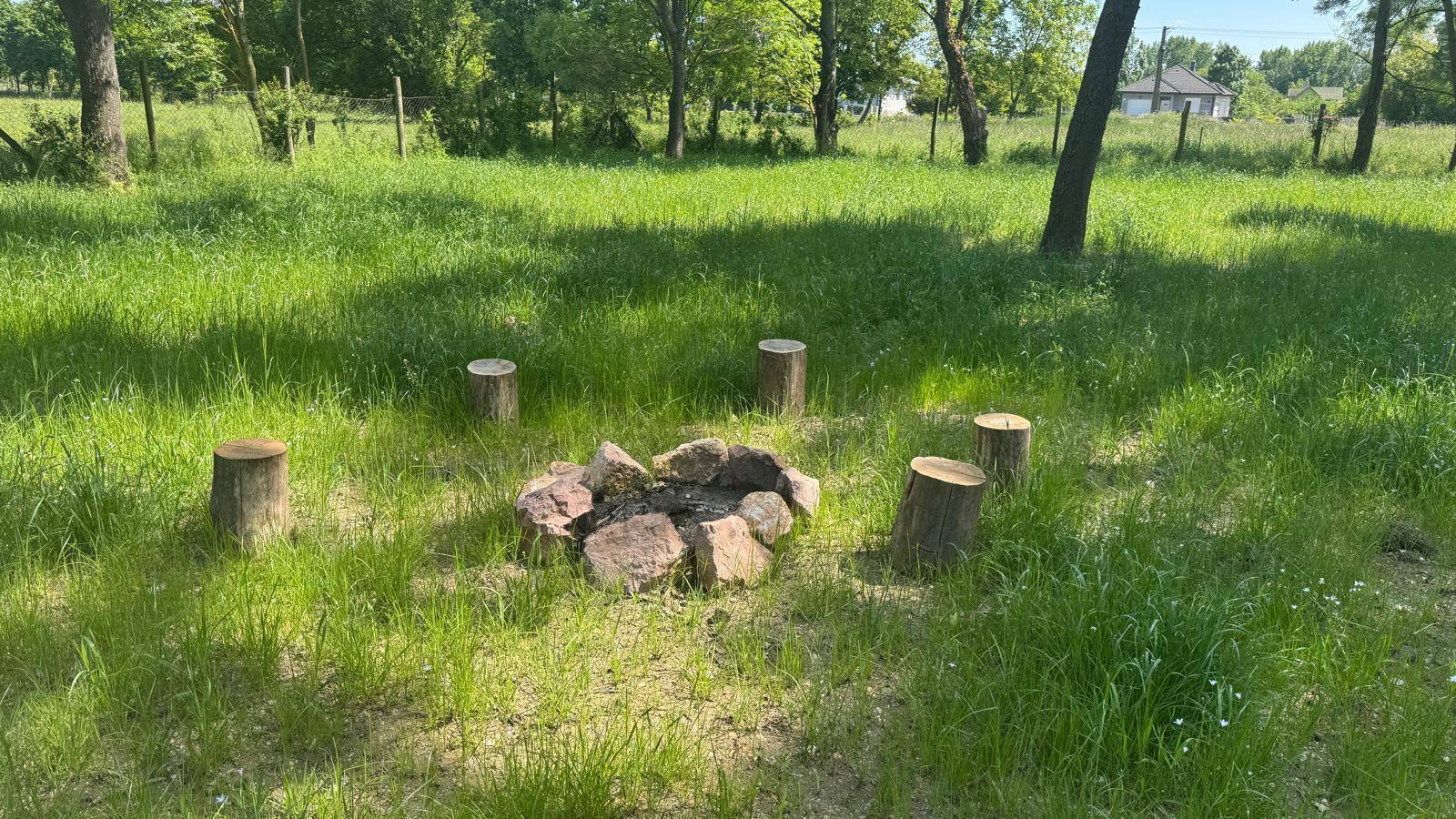 Gemütliche Feuerstelle aus Steinen mit Baumstumpf-Sitzgelegenheiten in einer grünen Wiese.