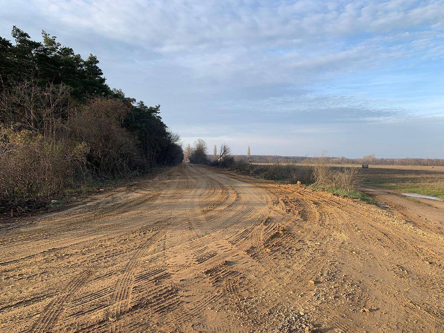 Unbefestigter Feldweg schlängelt sich durch eine ländliche Landschaft mit Feldern und vereinzelten Bäumen.